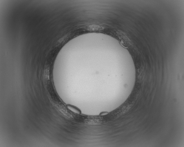 X0000082700368200702161756