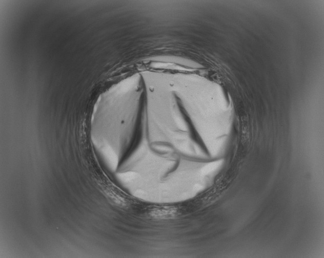 X0000082700369200702161756