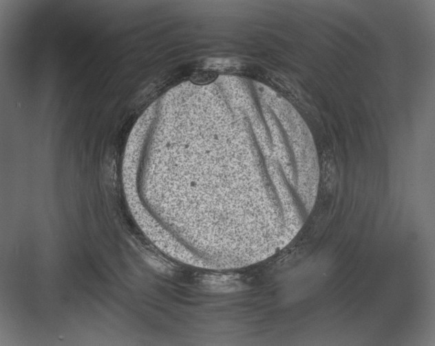 X0000082700375200702161756