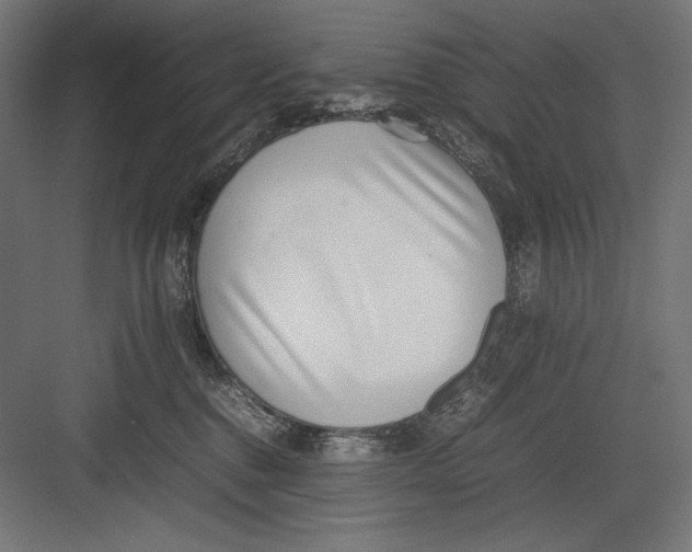 X0000082700376200702161756