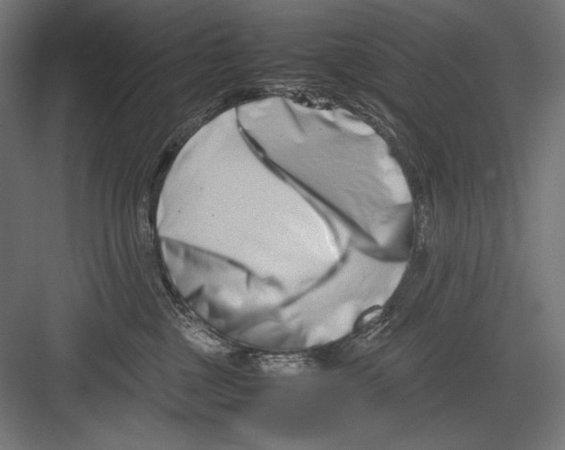 X0000082700377200702161756