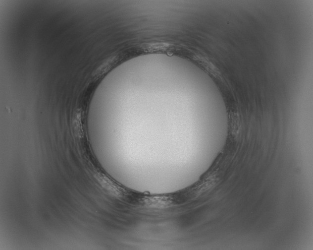 X0000082700378200702161756