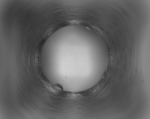 X0000082700379200702161756