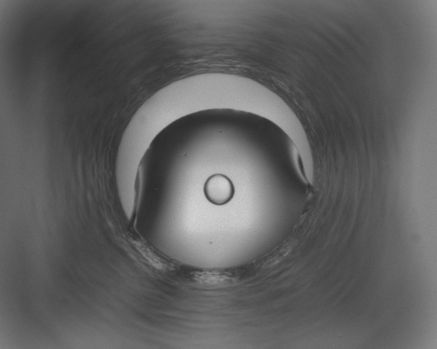 X0000082700380200702161756