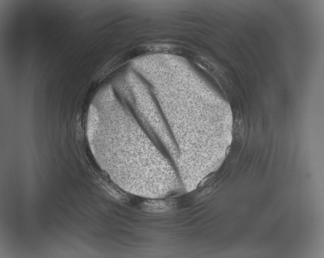 X0000082700381200702161756