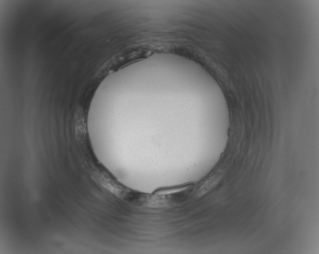 X0000082700384200702161756