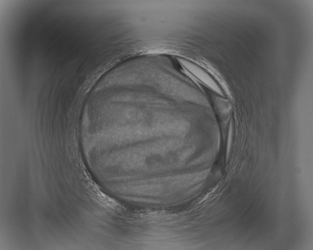 X0000082700385200702161755