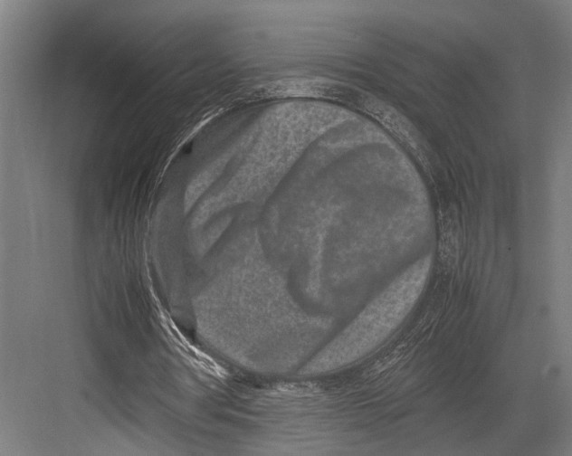 X0000082700386200702161755