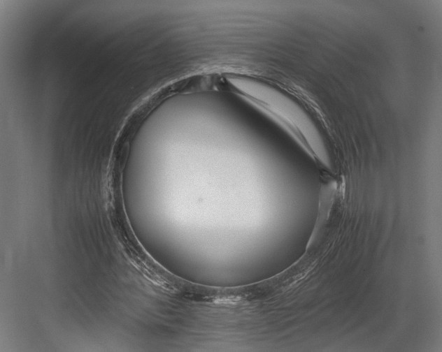 X0000082700388200702161755