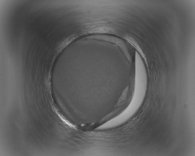 X0000082700389200702161755