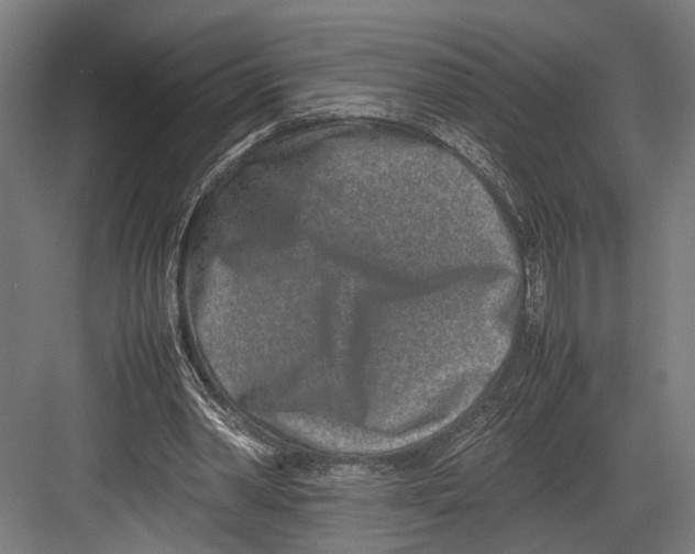 X0000082700390200702161755