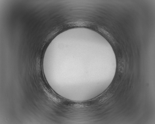 X0000082700394200702161755