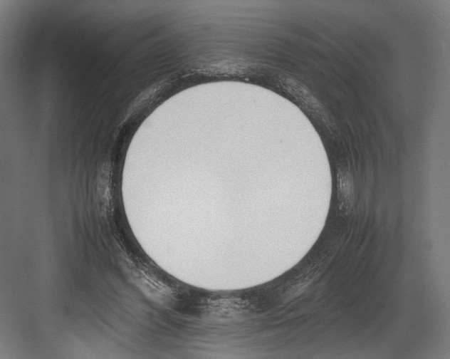 X0000082700396200702161755