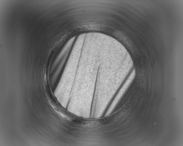 X0000082700398200702161755