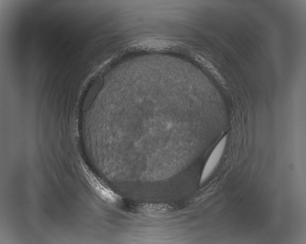 X0000082700399200702161755