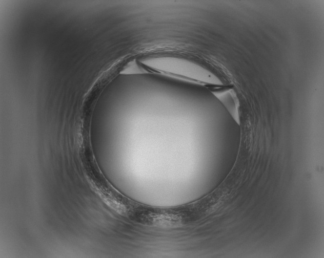 X0000082700400200702161755