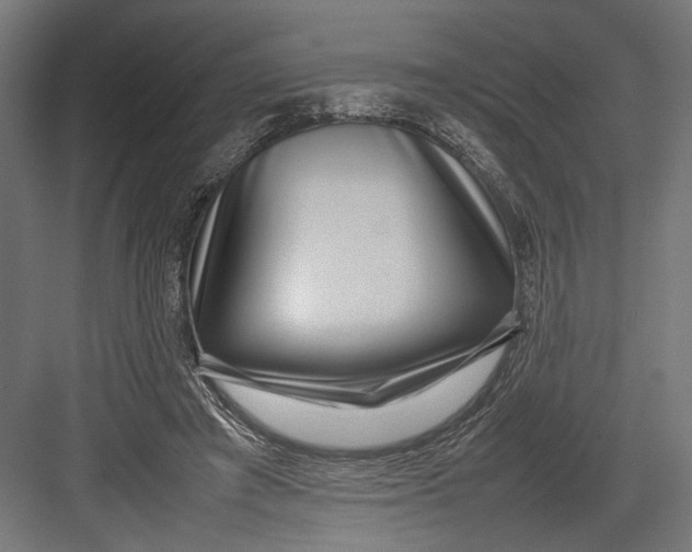 X0000082700401200702161755