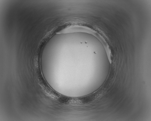 X0000082700403200702161755