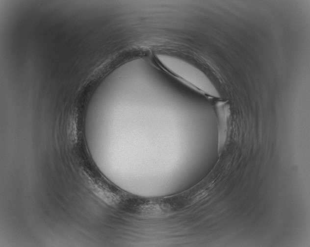 X0000082700404200702161755