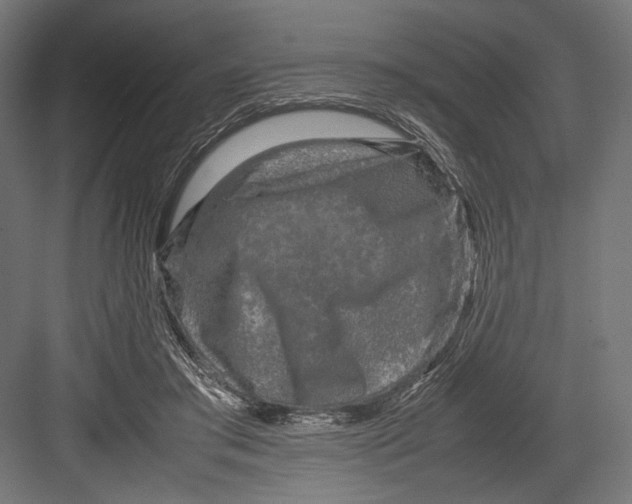 X0000082700405200702161755