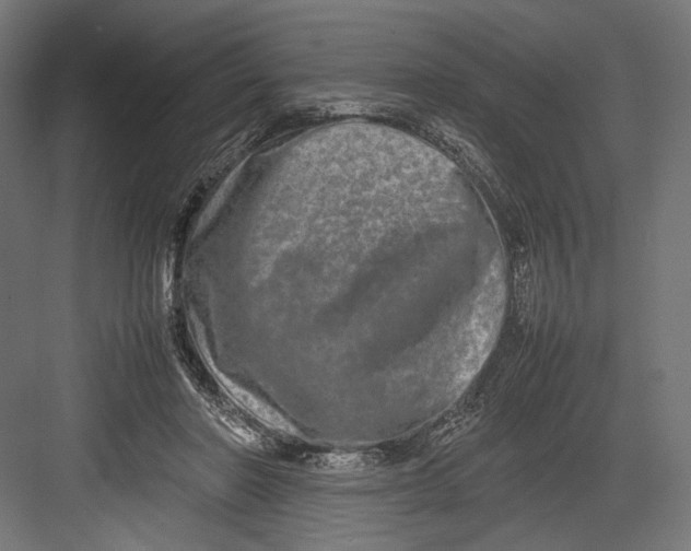 X0000082700406200702161755