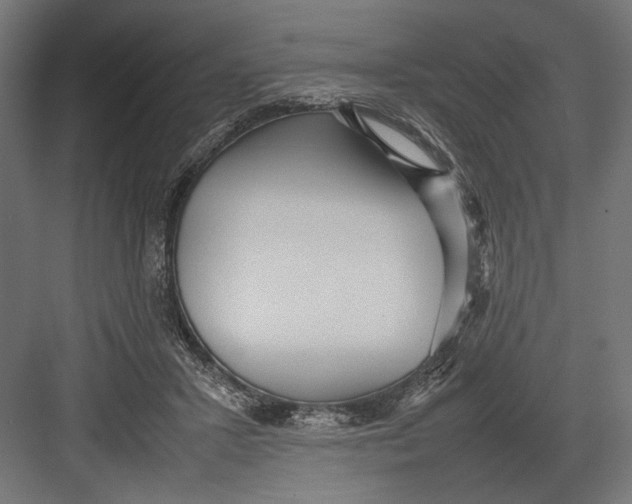 X0000082700407200702161755