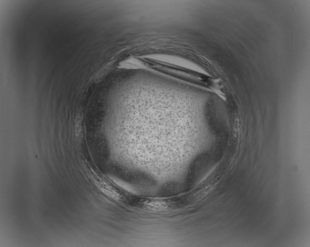 X0000082700409200702161755