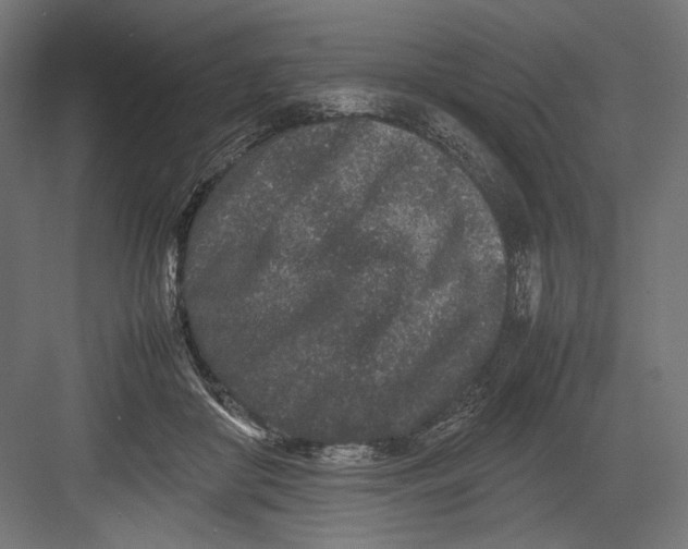 X0000082700410200702161755