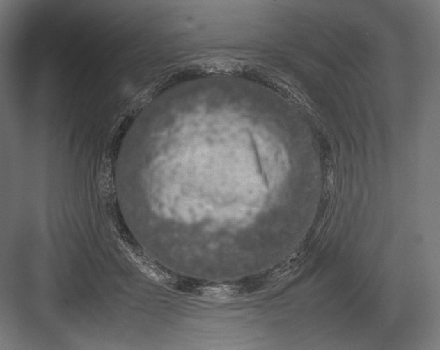 X0000082700411200702161755