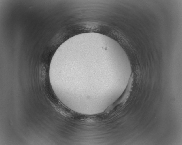 X0000082700412200702161755