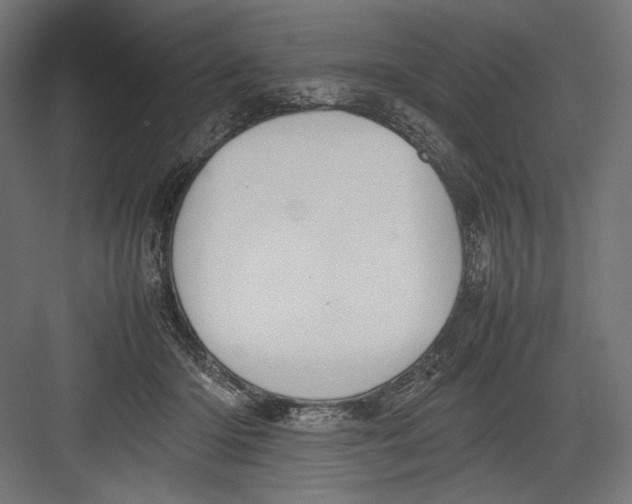 X0000082700414200702161755