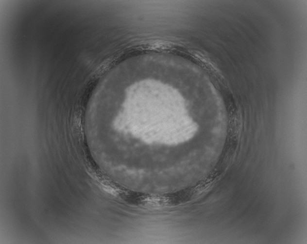 X0000082700415200702161755