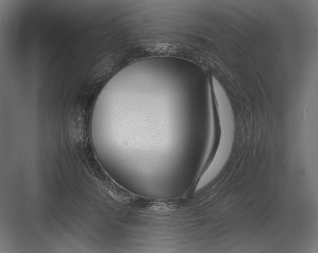 X0000082700416200702161755