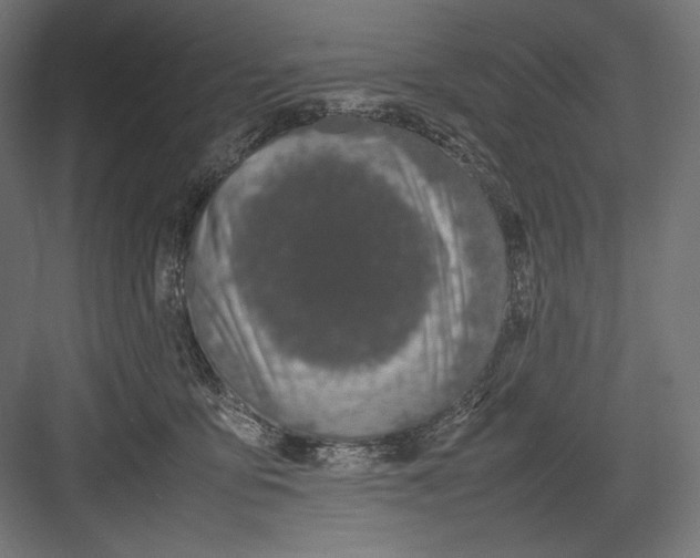 X0000082700419200702161755