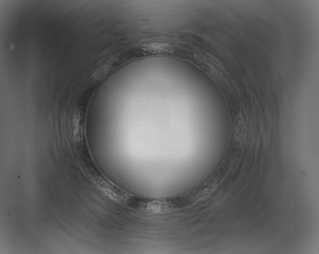 X0000082700420200702161755