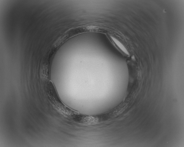 X0000082700421200702161755