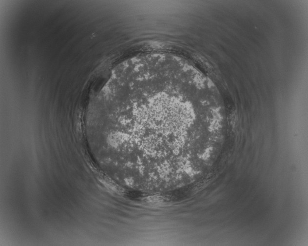 X0000082700423200702161755