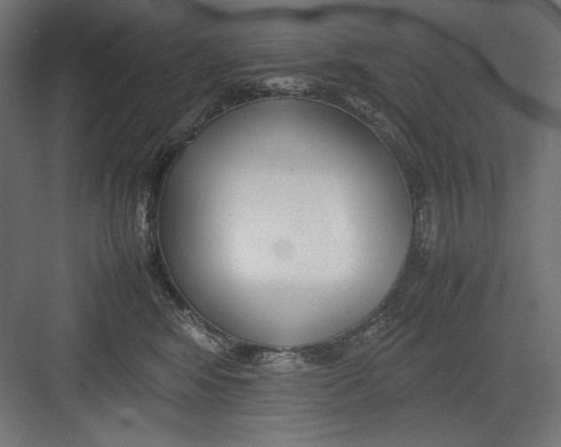 X0000082700424200702161755