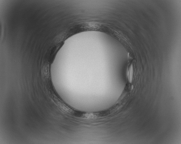 X0000082700425200702161755