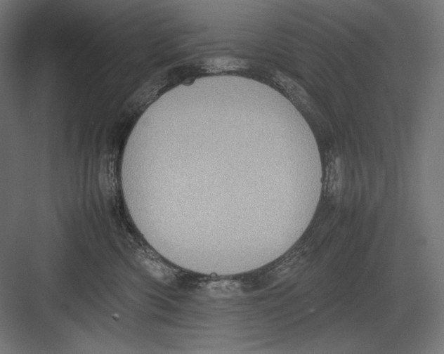 X0000082700426200702161755