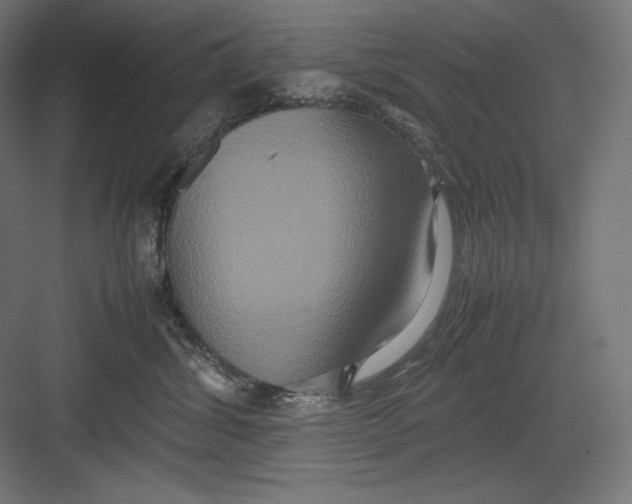 X0000082700428200702161754