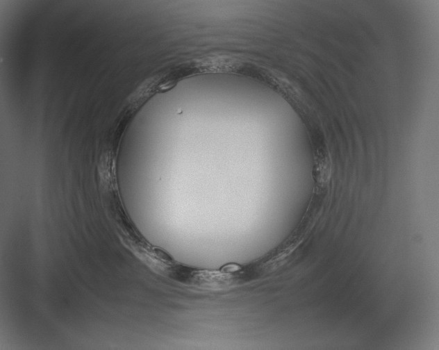 X0000082700429200702161754