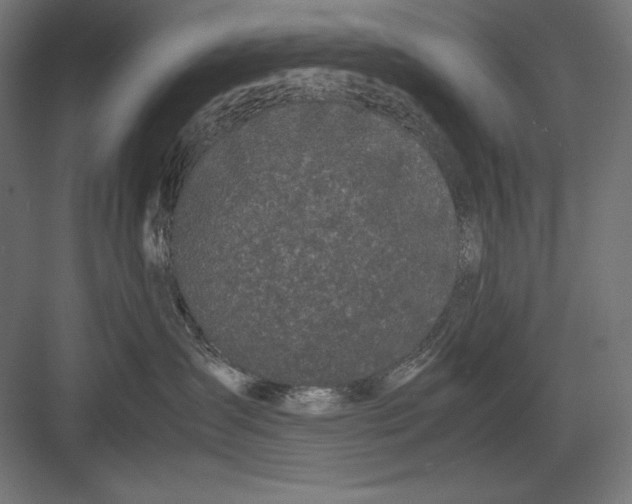 X0000082700431200702161754