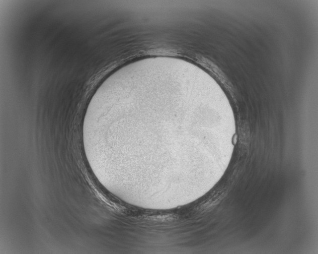 X0000082700433200702161754