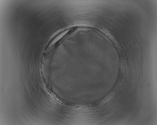 X0000082700434200702161754