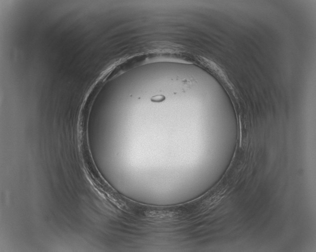 X0000082700435200702161754