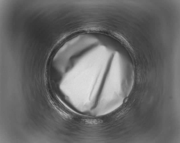 X0000082700439200702161754