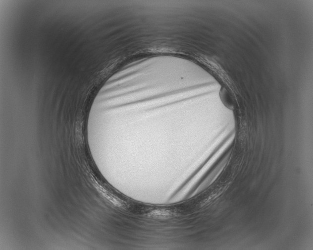 X0000082700441200702161754