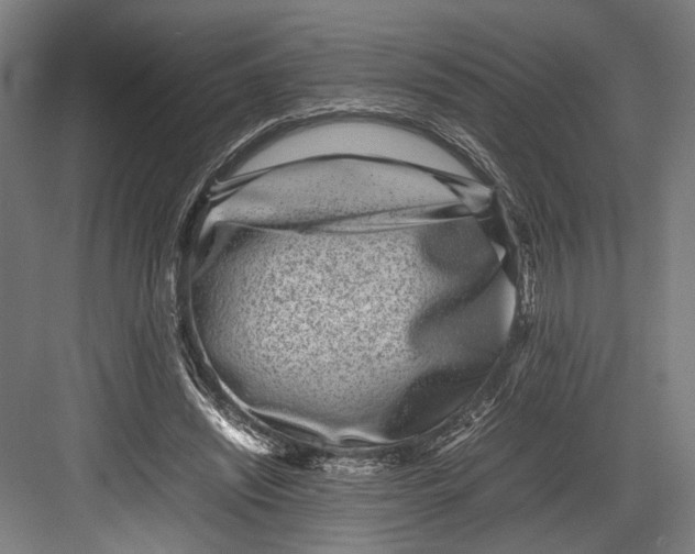 X0000082700444200702161754