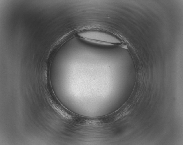 X0000082700446200702161754